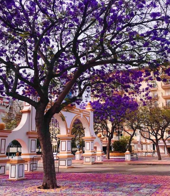 Higueronrentals Bahia Apartment Málaga