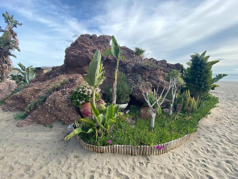 Higueronrentals Bahia Apartment *
