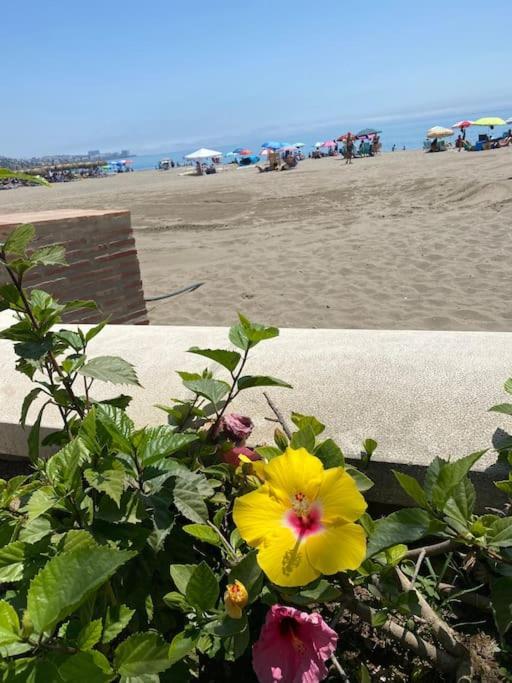 Higueronrentals Bahia Apartment Málaga